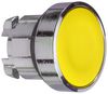 SCHNEIDER ELECTRIC ZB5AW583