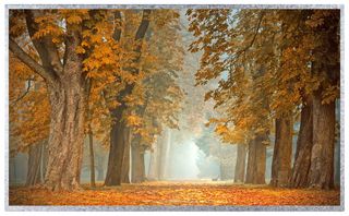 MULTICOMP PRO MP013339