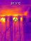 FLIR TG165-X