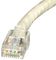 SPEEDY RJ45 PXSPDY6C#10