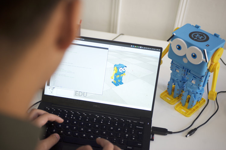 Robotik für fortgeschrittene Anfänger